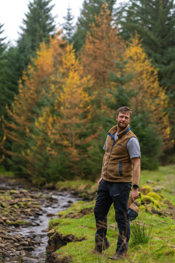 Autumn colour in Snake Woodland beside Lady Clough, Peak District