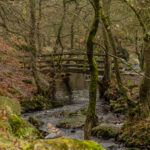 Autumn colours and waterfalls at Padley Gorge in the Peak District