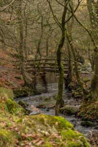 Padley Gorge – An Ancient Woodland Walk Hidden In The Peak District