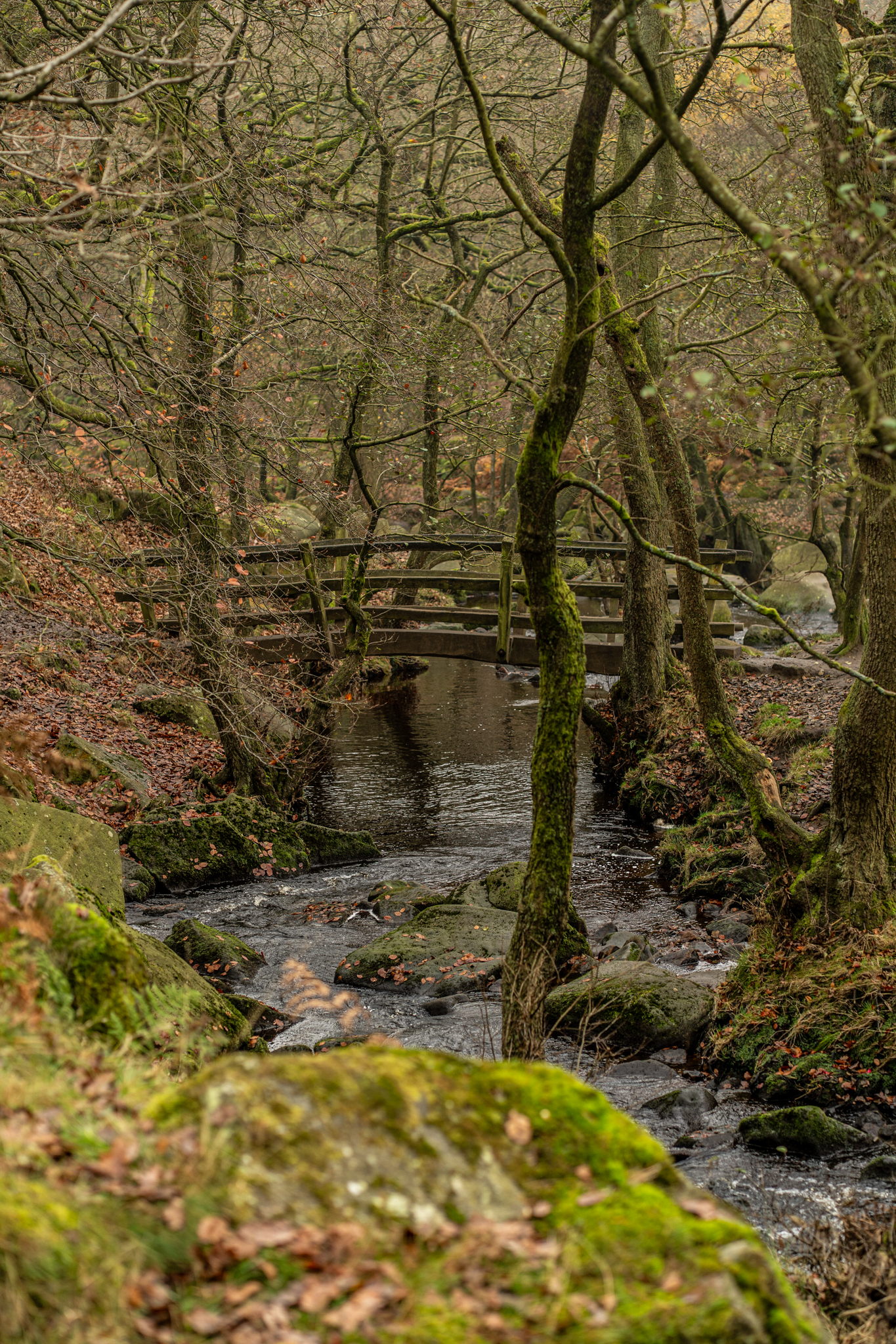 Autumn colours and waterfalls at Padley Gorge in the Peak District