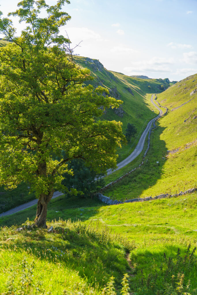 A view onto Dowel Dale, a valley some compare to the more famous Winner's Pass.