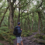 Ads in Padley Gorge summer 2025