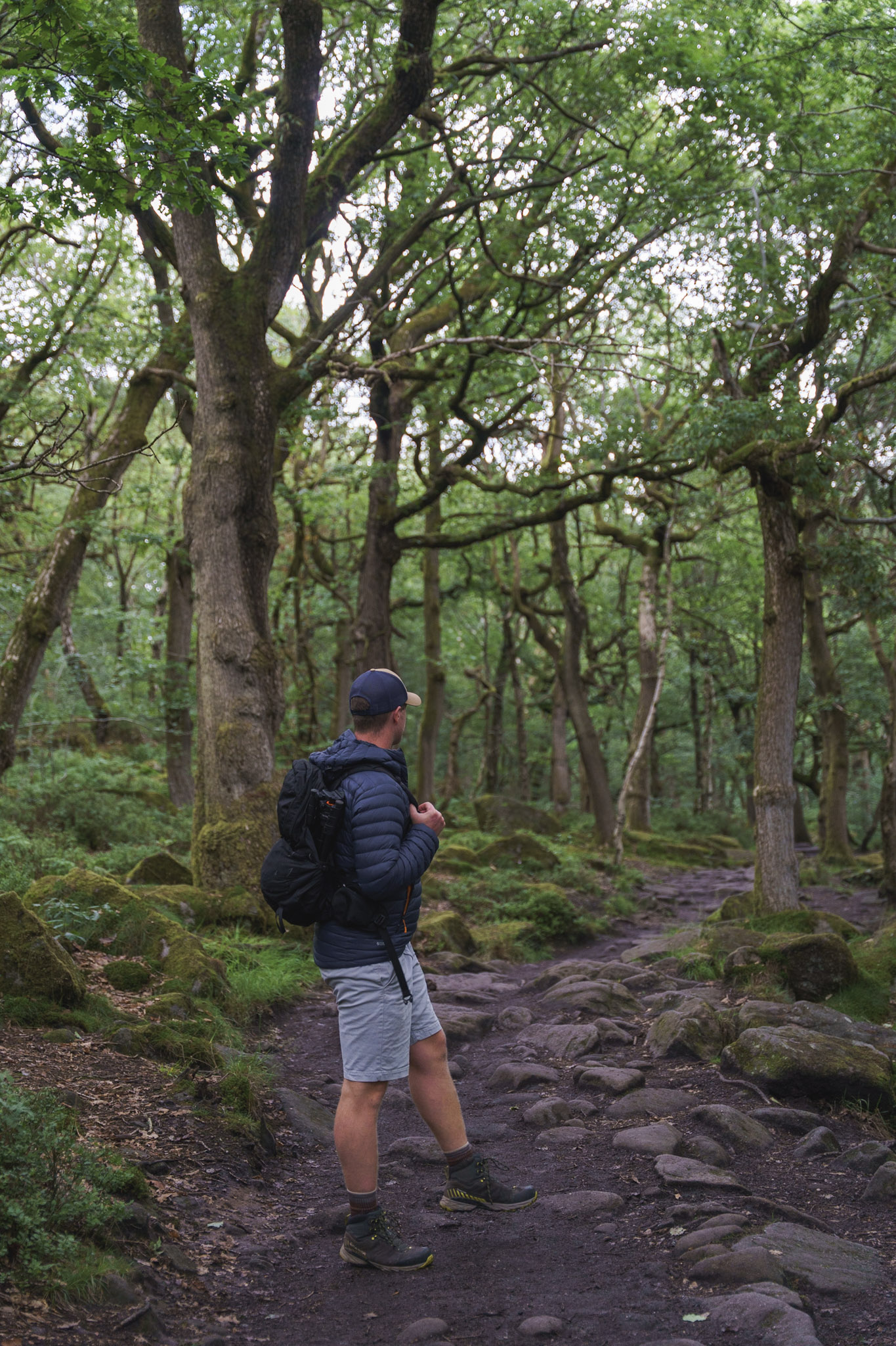 Ads in Padley Gorge summer 2025