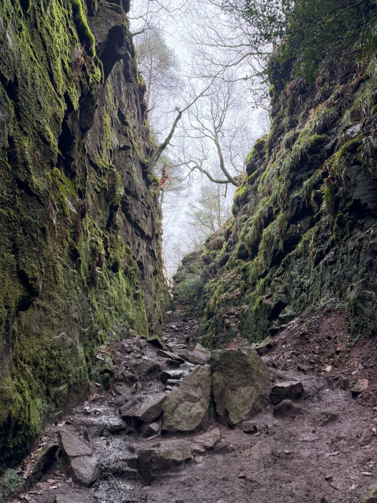 Deep chasm at Lud's church, huge boulder sides covered in moss