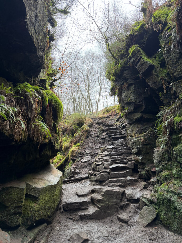 Deep chasm at Lud's church, huge boulder sides covered in moss and steps out of it