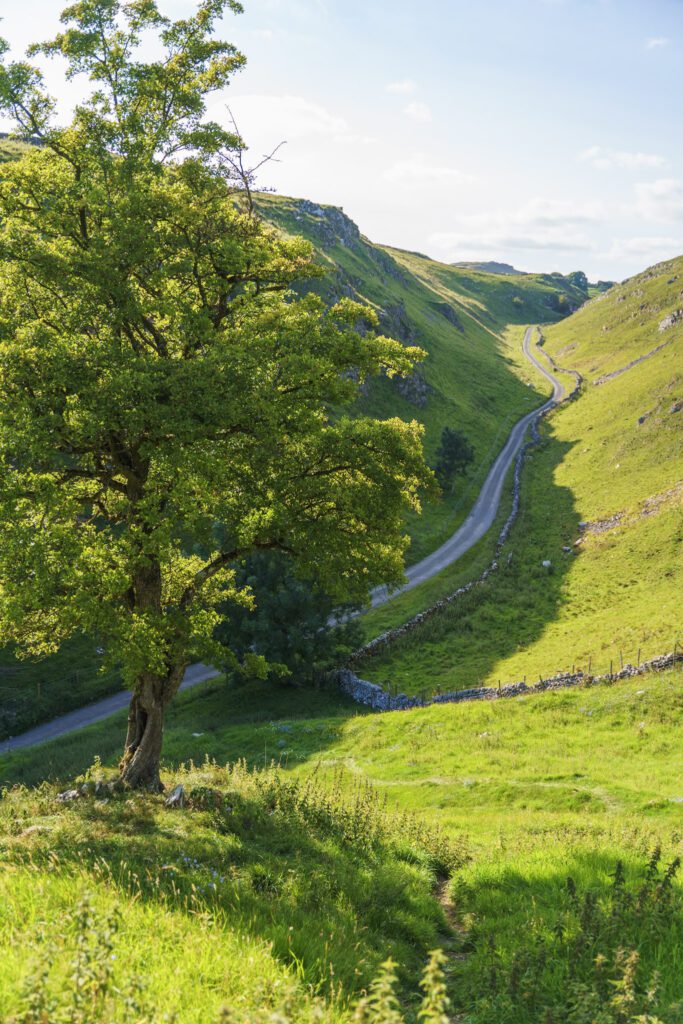 looking down into a small valley, with a country lane in the bottom