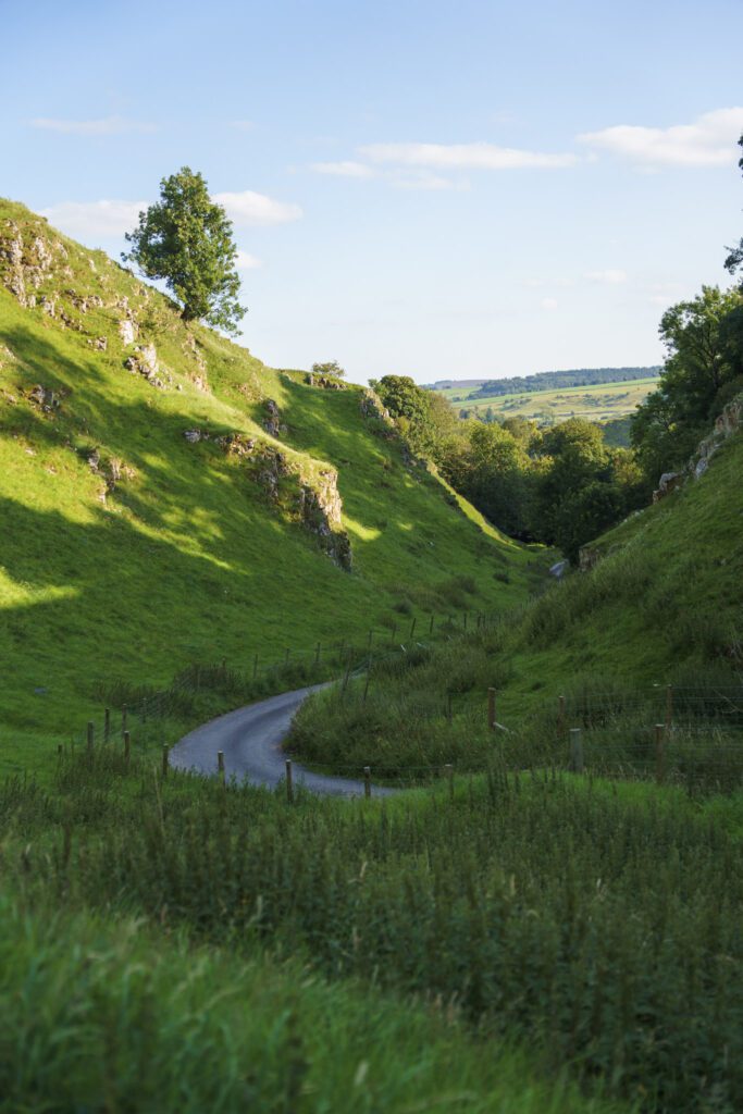 farm track lane leading into a lush green valley