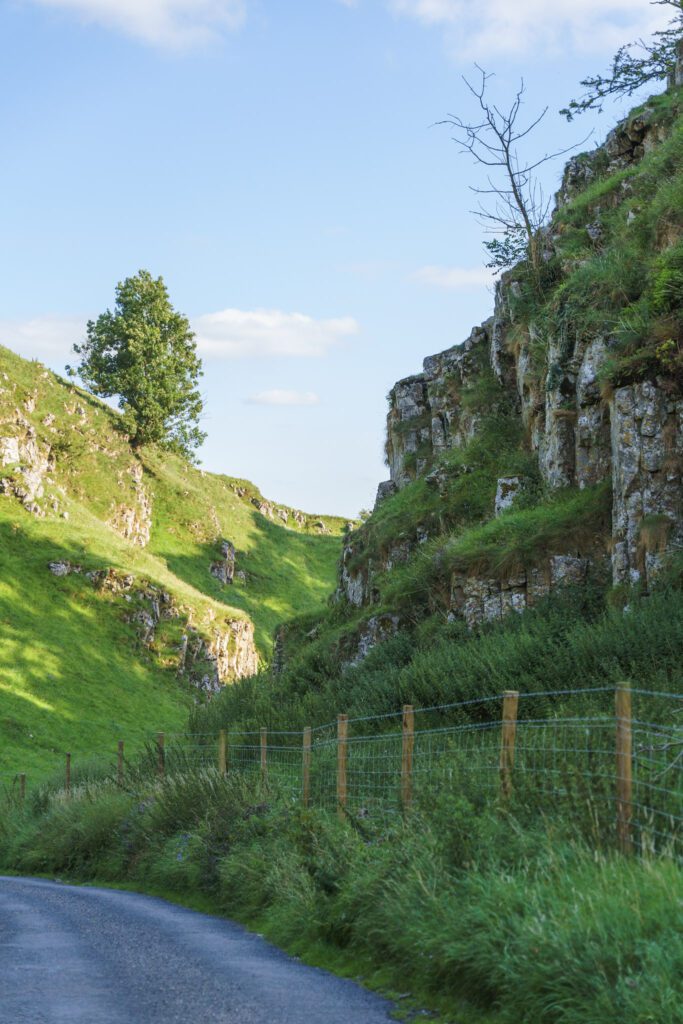 Limestone cliffs, animal wood and wire fencing, lush greenery