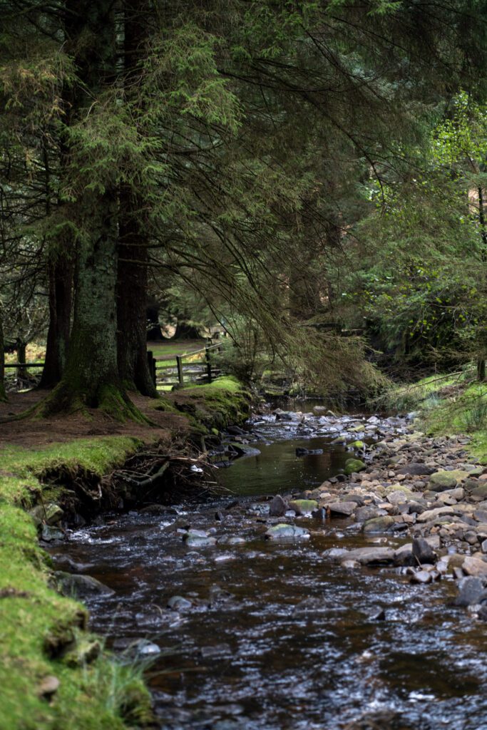 Moody stream running through woodland, bare rocks to the right of the river, big trees overhanging and a wooden fence