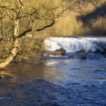 Monsal Dale & Monsal Weir Walk From Great Longstone