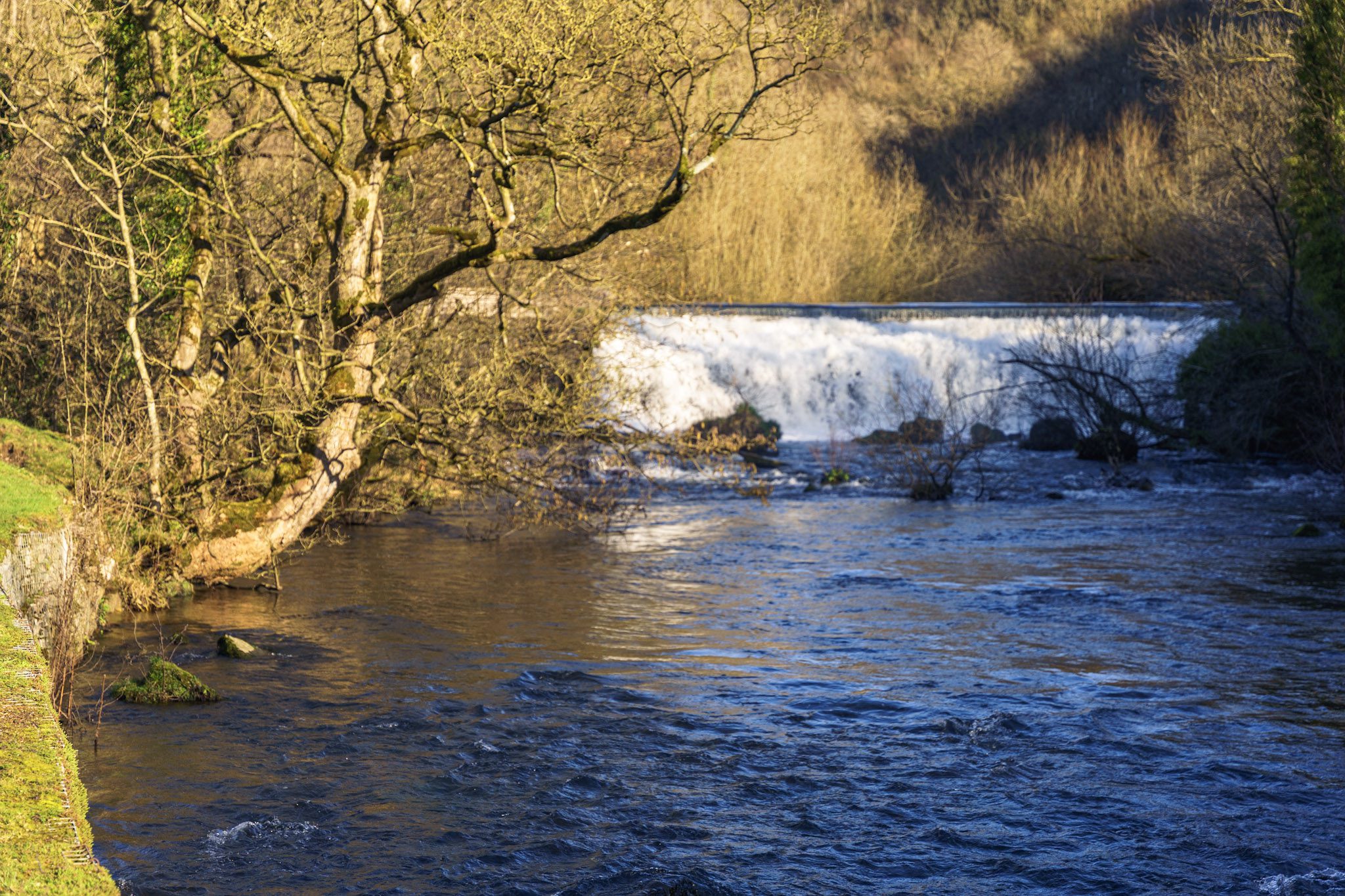 Monsal weir above the river, trees overhanging the riverbank