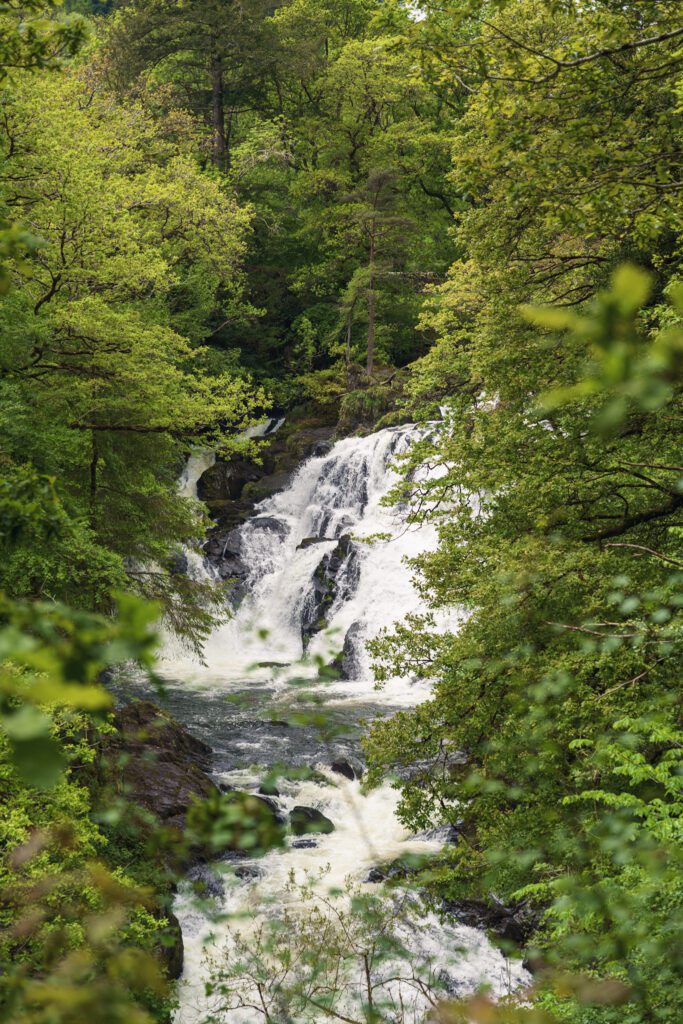 Swallow Falls in full flow through the trees