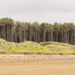 Llanddwyn Island & Newborough Forest Walk, Anglesey, North Wales