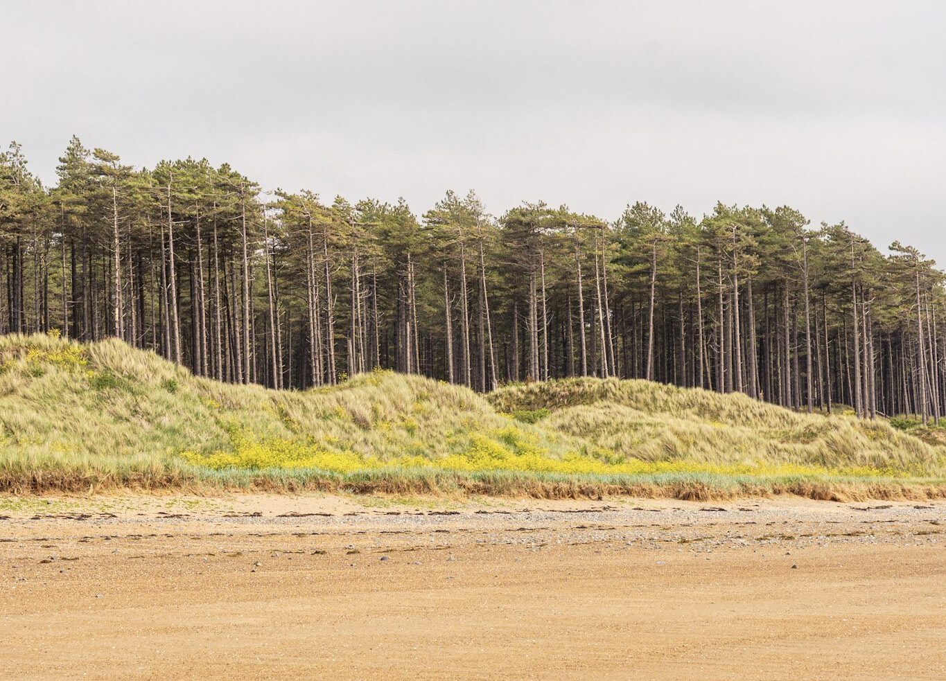Llanddwyn Island & Newborough Forest Walk, Anglesey, North Wales