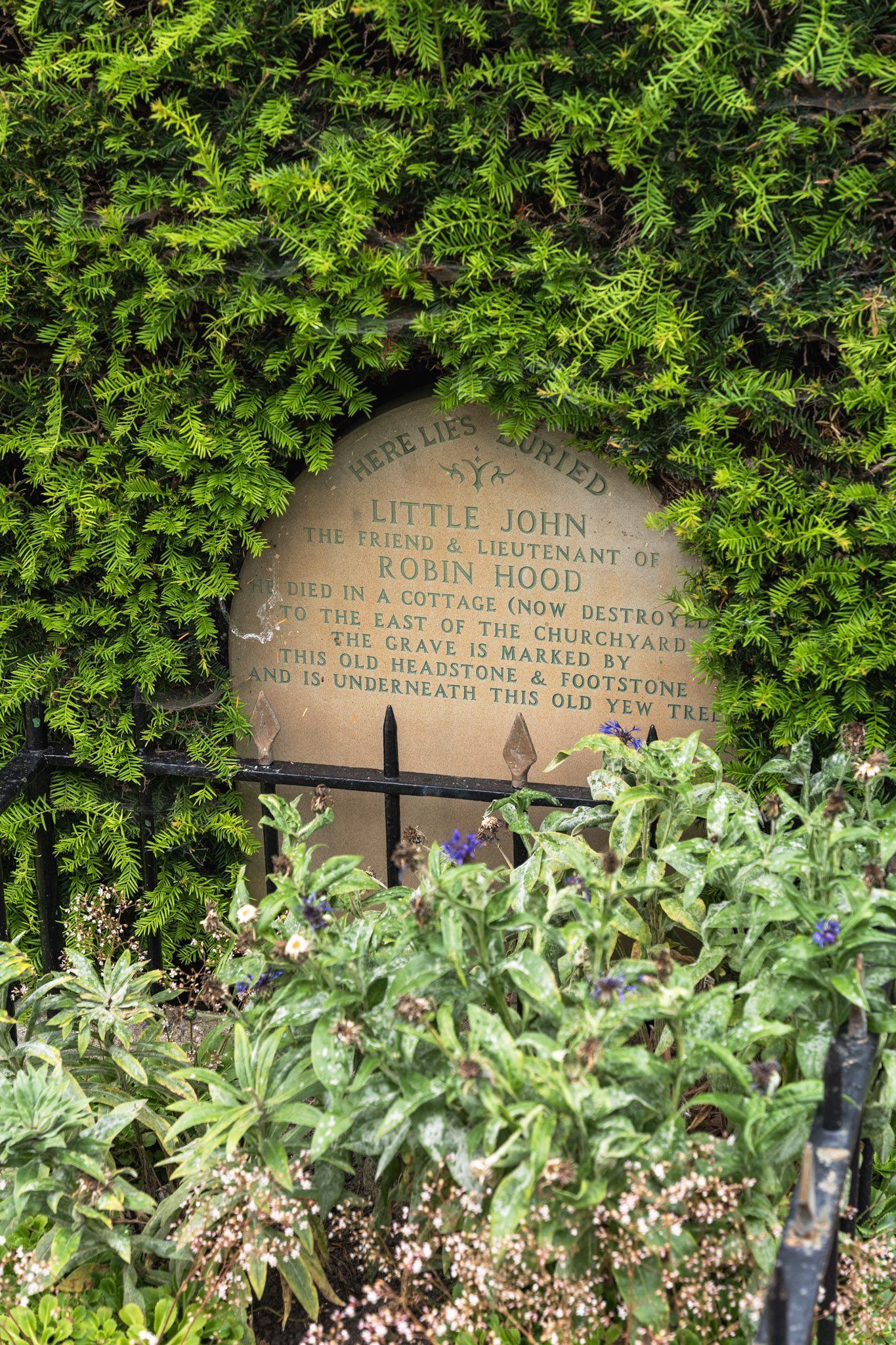 Little Johns Grave with green foliage all around the headstone and iron bars around the grave