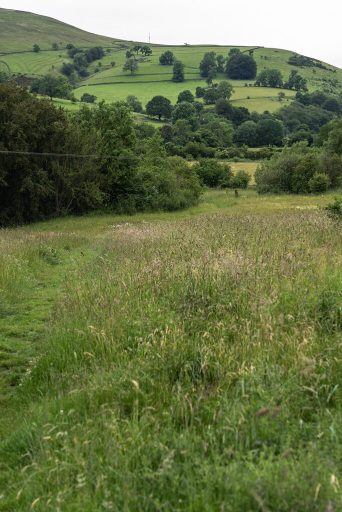Amazing view from the meadow riverside path at Hathersage up onto the hillside