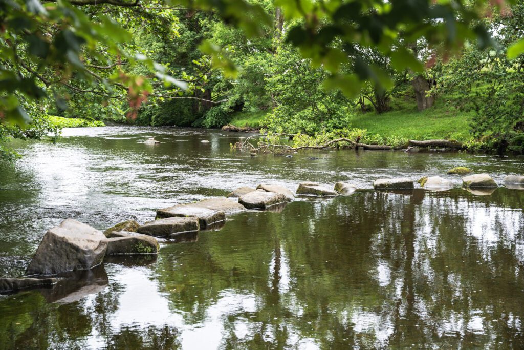 Stepping stones over the river Derwent, lush green riverbank, still water and tree leaves in the foreground