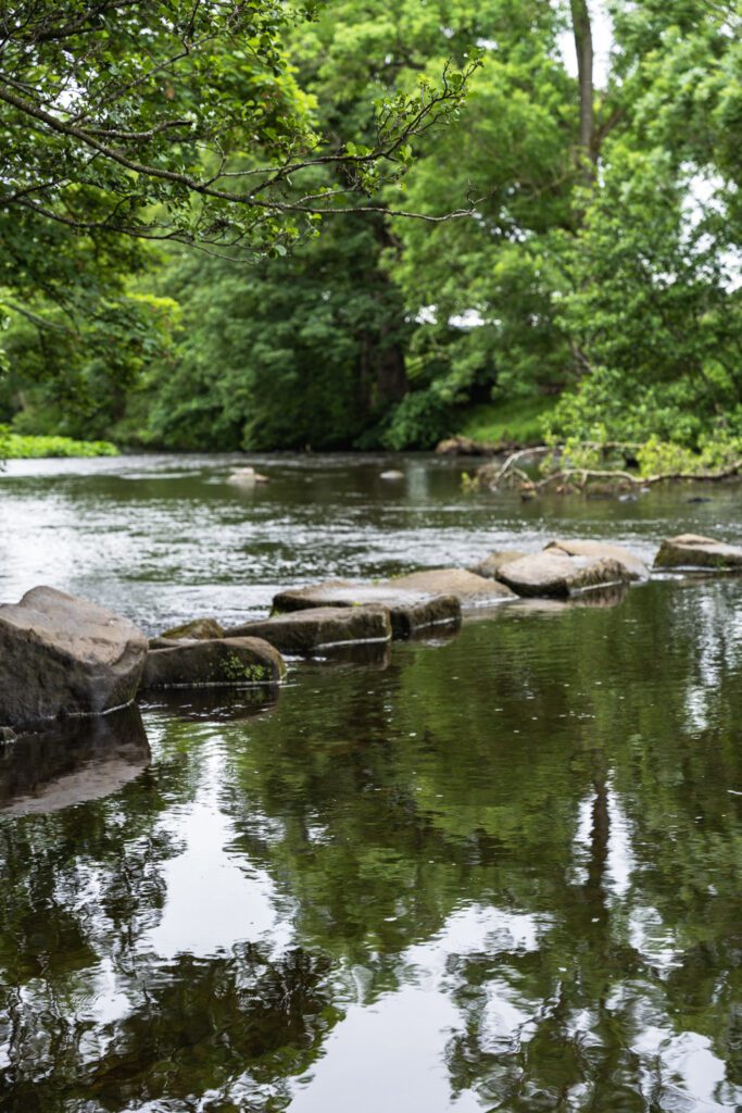 stepping stones above the water across the River Derwent, tree leaves in the foreground