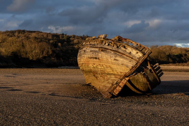 Shipwreck Walk, Manx Rose On Dulas Bay Anglesey, North Wales