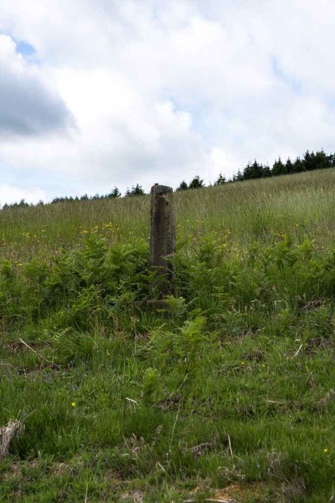 Stone pillar standing alone in a lush meadow on a hillside
