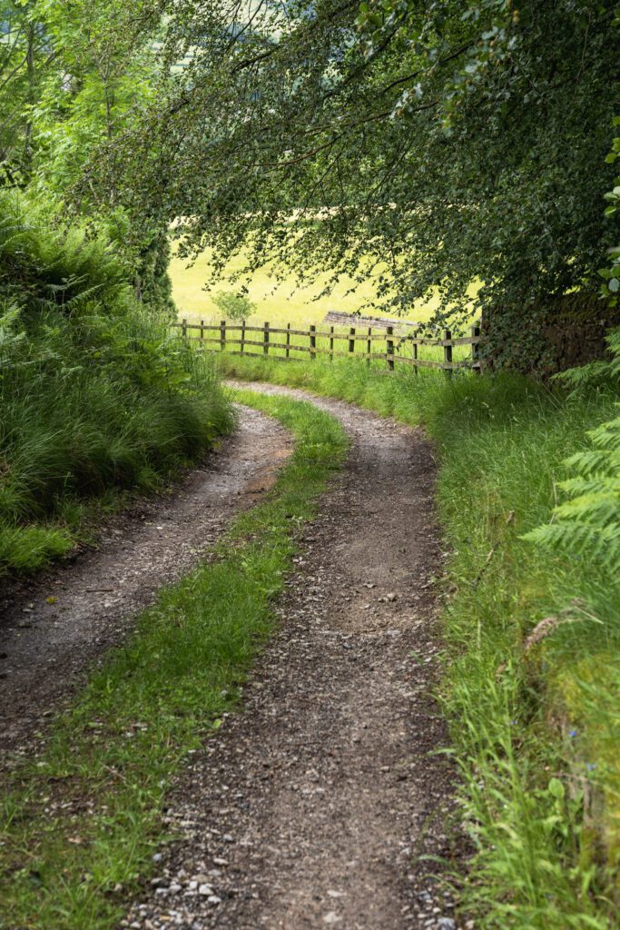 Country lane with lush greenery both sides and a fence leading it around the corner