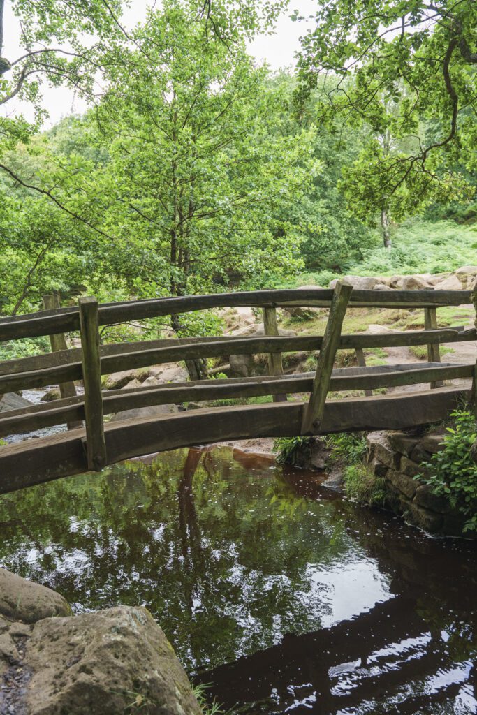 Curved wooden bridge, water with reflections in and lush trees
