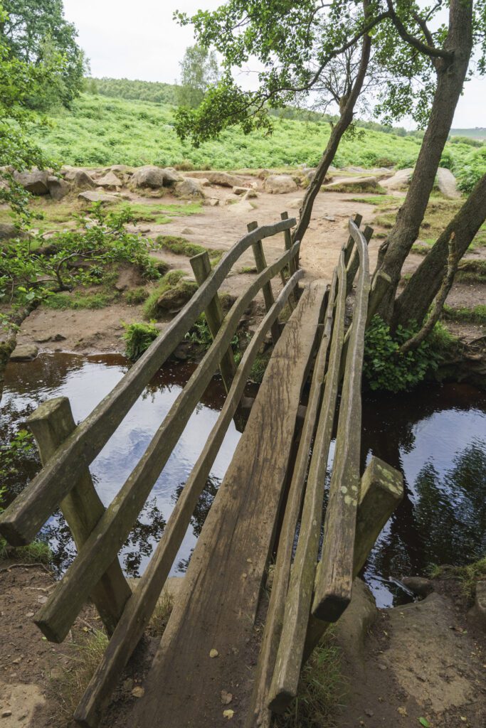 Old wooden bridge crossing the stream, dry soil either side, lush vegetation further on and a tree at the end