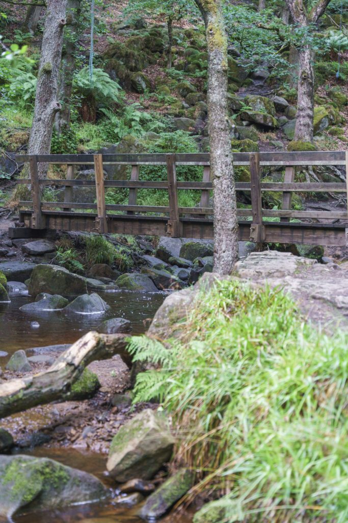 wooden bridge over a stream