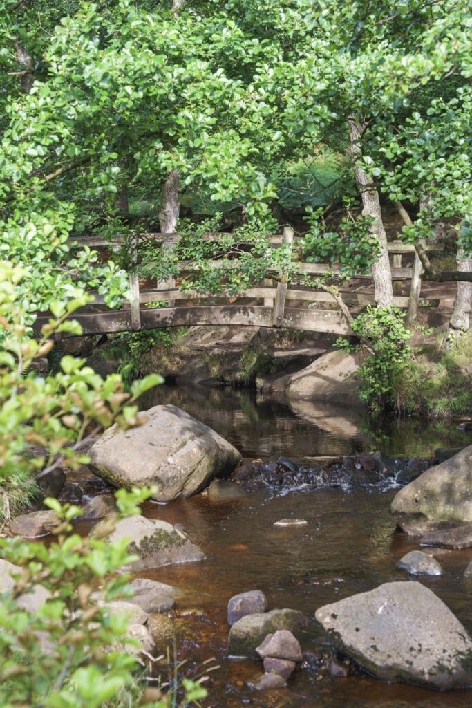 Old wooden bridge over stream, rocks in the water and lush vegetation surrounding the bridge