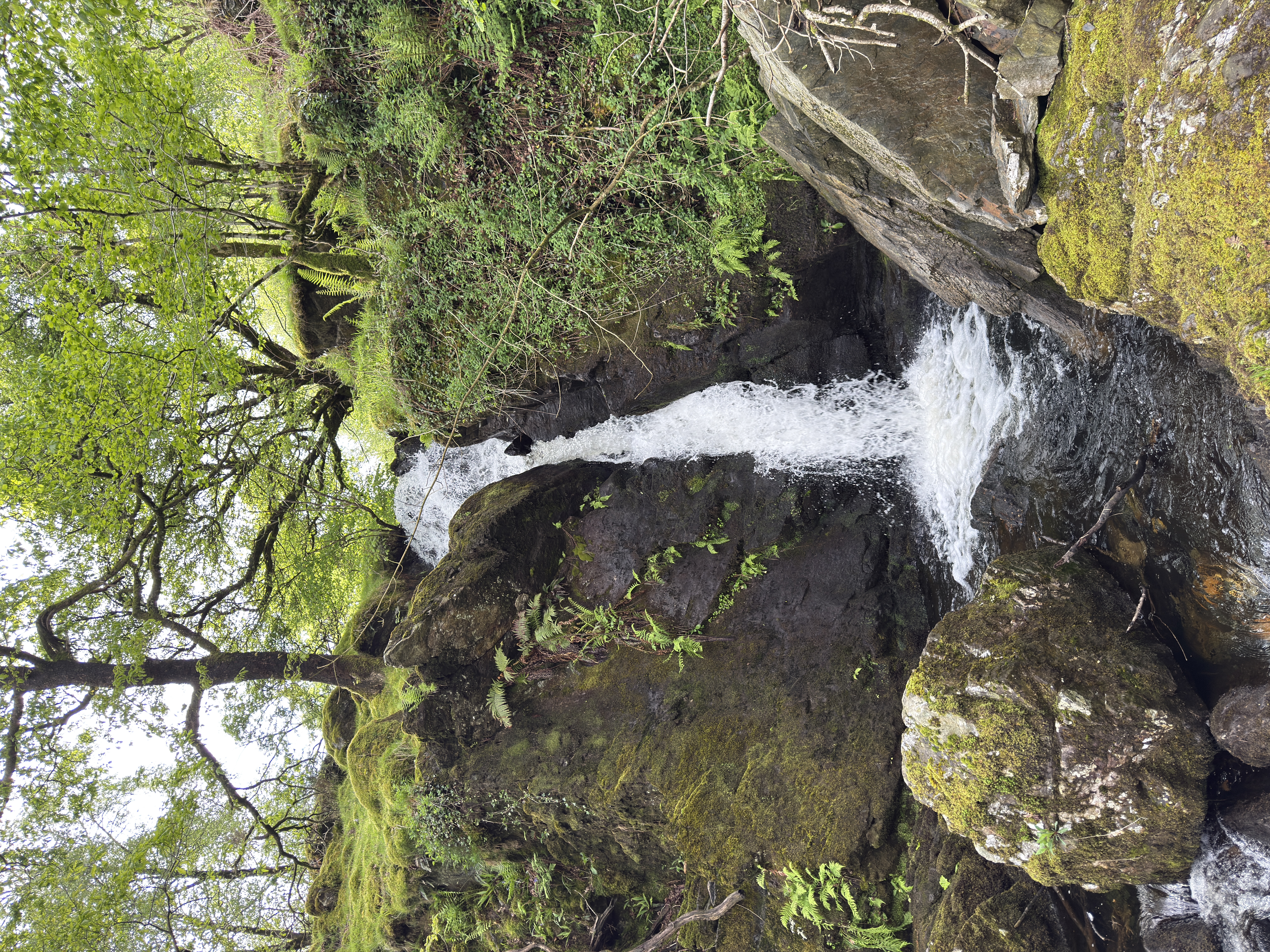 Small waterfall at Dolwyddelan Castle
