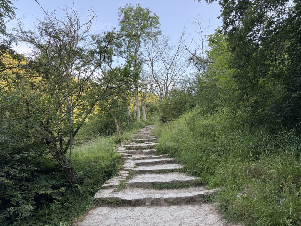 Steep steps on the Dovedale valley, lush greenery to both sides of the path