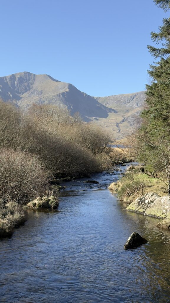 View over the river with mountains in the background and trees to each side