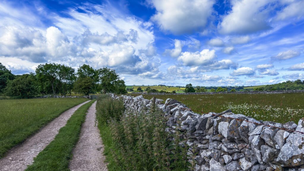 A country lane in the Peak District with a stone wall one side and a field of grass the other