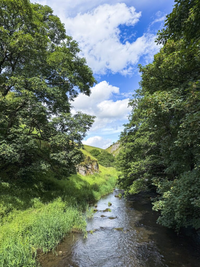 A view down the river Dove on wolfscote Dale, lush big trees either side