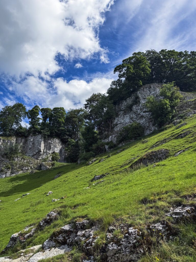 Limestone cliffs and large trees towering above Wolfscote Dale