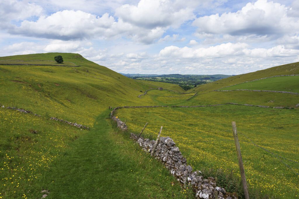 Countryside views showing meadows of buttercups and green grass