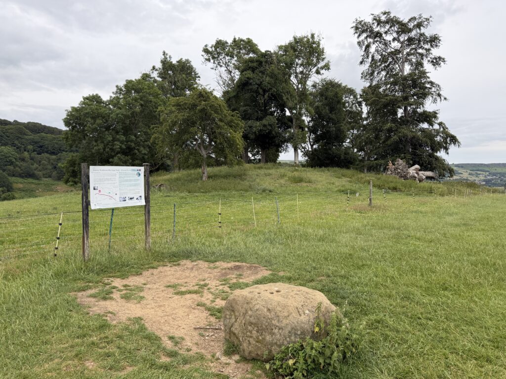 A large stone with deep holes in it and a sign with information about how it was used during the plague