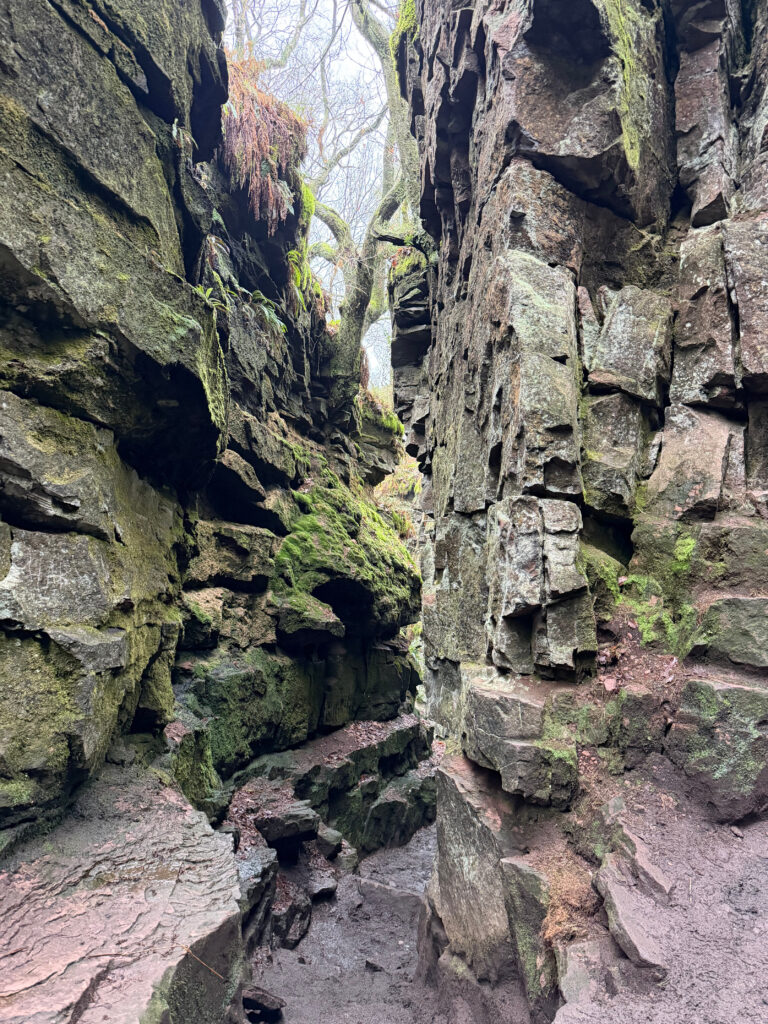 Deep chasm at Lud's church, huge boulder sides covered in moss