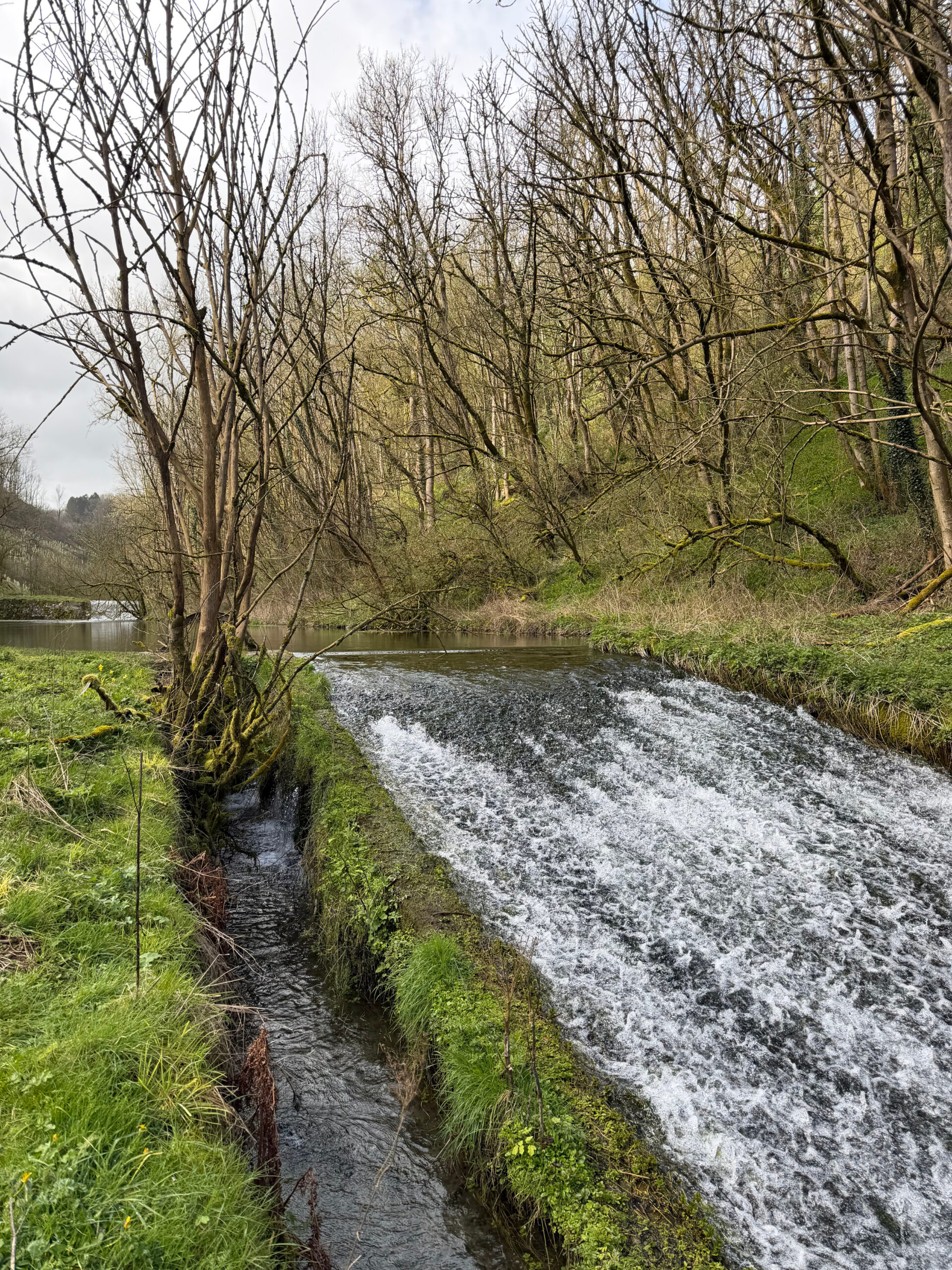 Weir on the Bradford Dale coming out of a deeper area