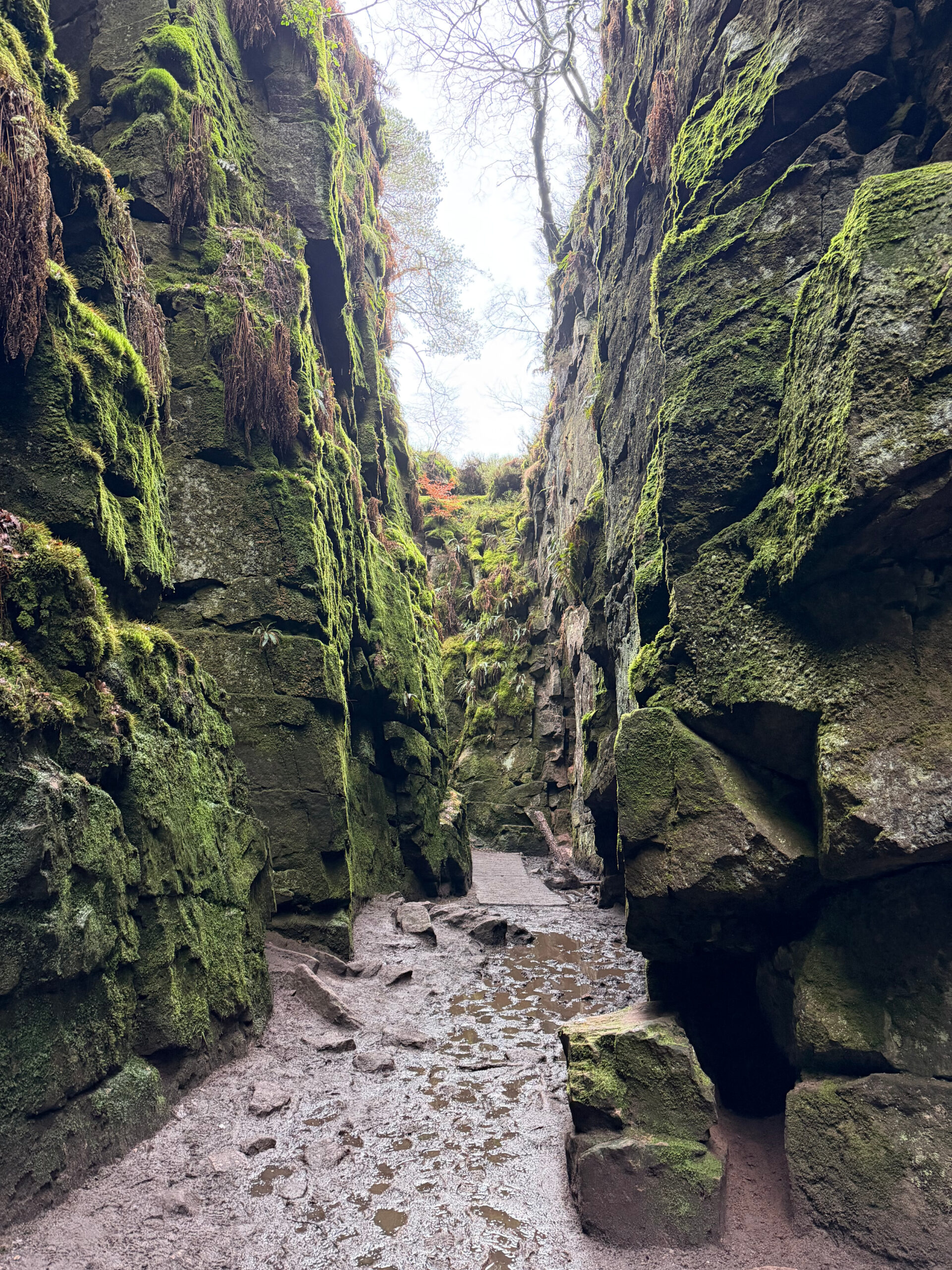 Lud’s Church from Gradbach Walk