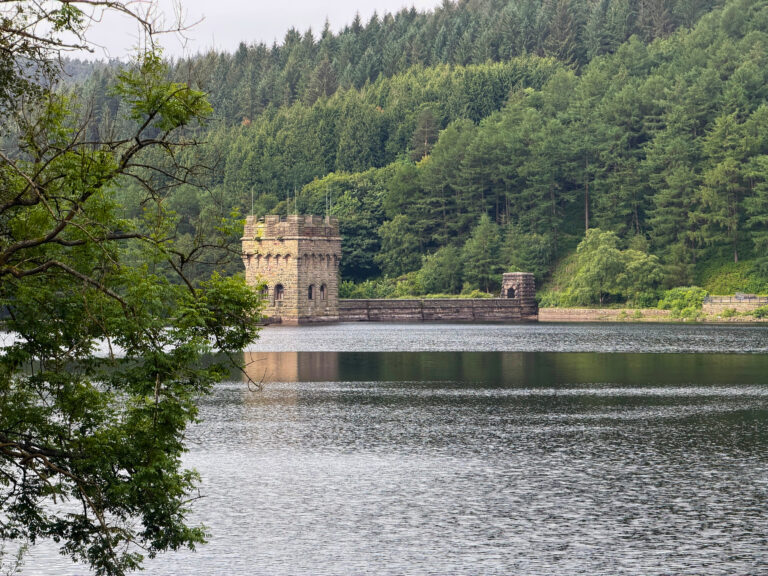 Derwent Reservoir and dam with forest behind and tree overhang in foreground