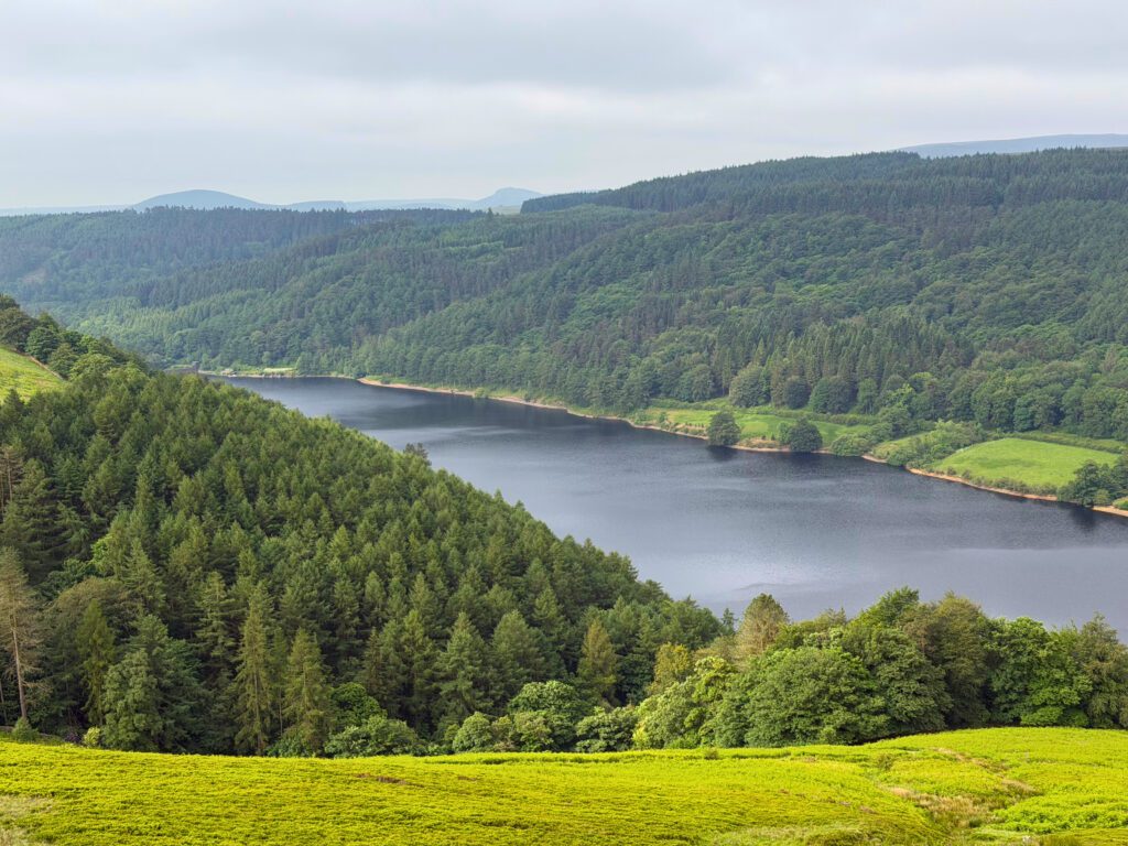 Looking down the Derwent Reservoir, tree lined on both sides