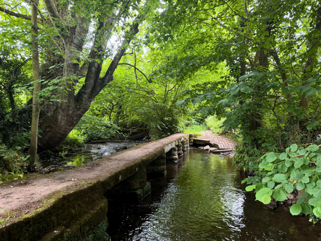Picturesque stone bridge across a stream in the trees