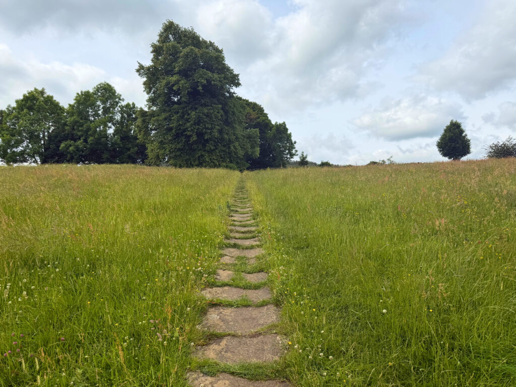 Paved path through meadowland with trees towards the top