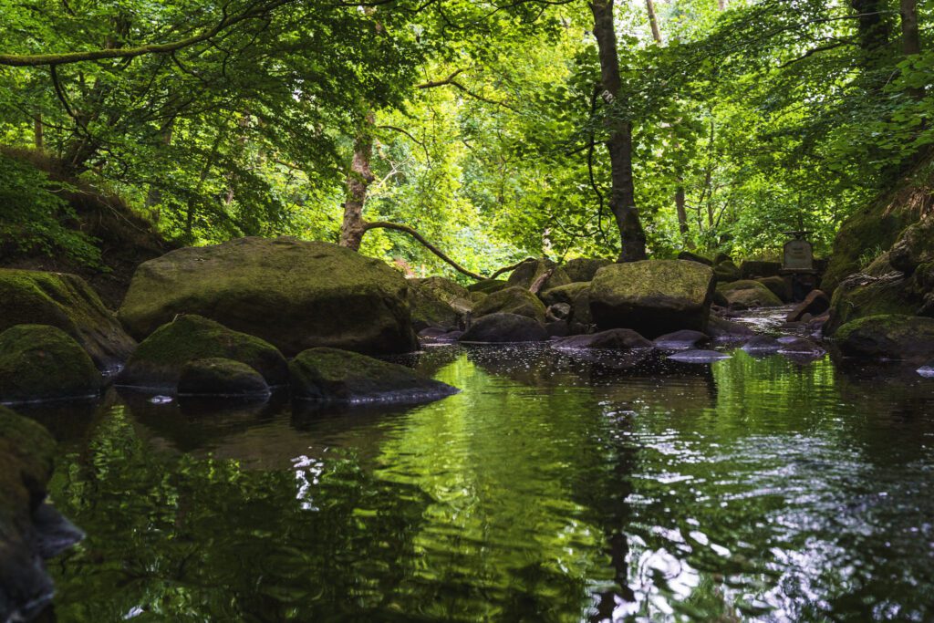 Padley Gorge pool shaded in the trees