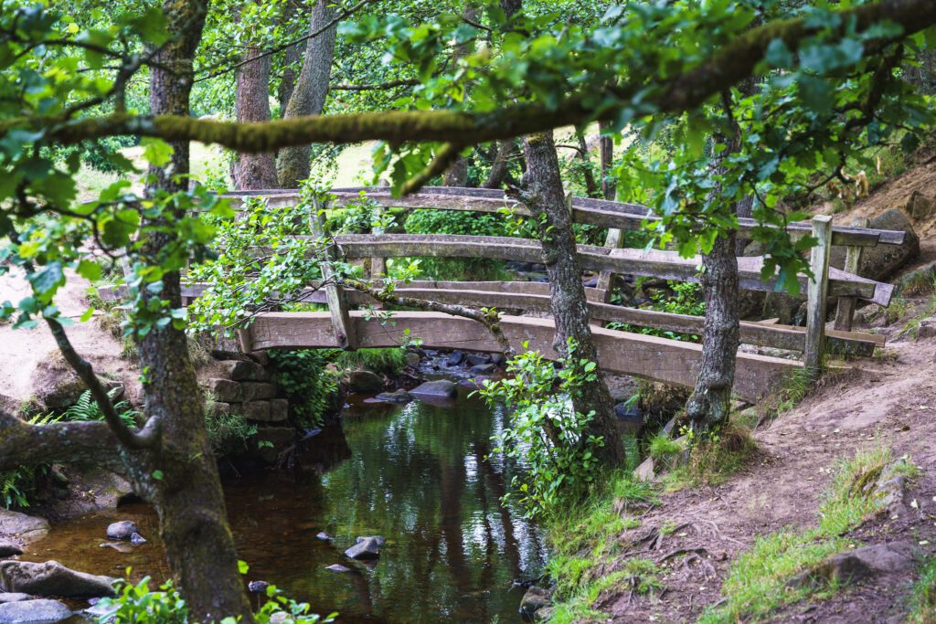 Curved wooden bridge at Padley Gorge over the stream