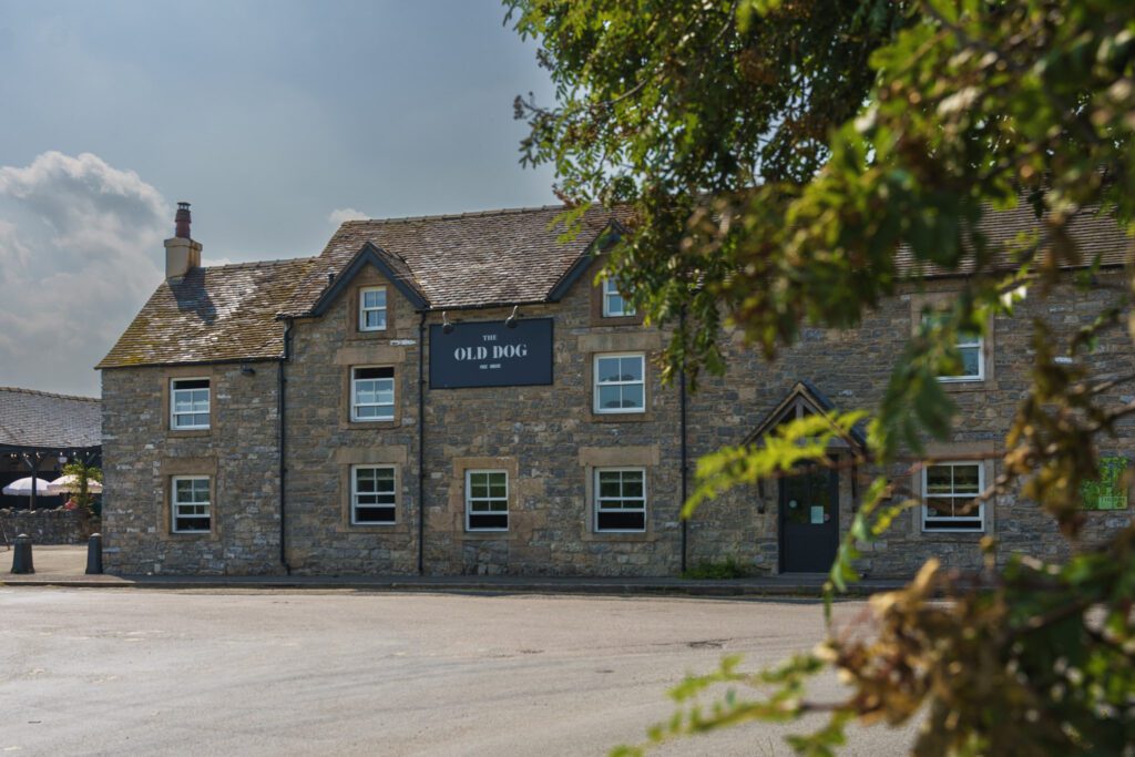 The Old Dog Pub with a little foliage in the foreground