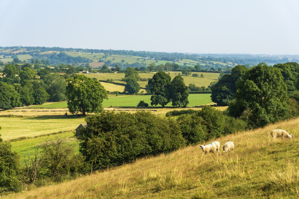 Countryside views over rolling hills with tree lines, stone barns and sheep grazing