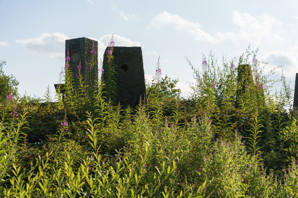 Stone Pillars above Carsington water surrounded by the undergrowth