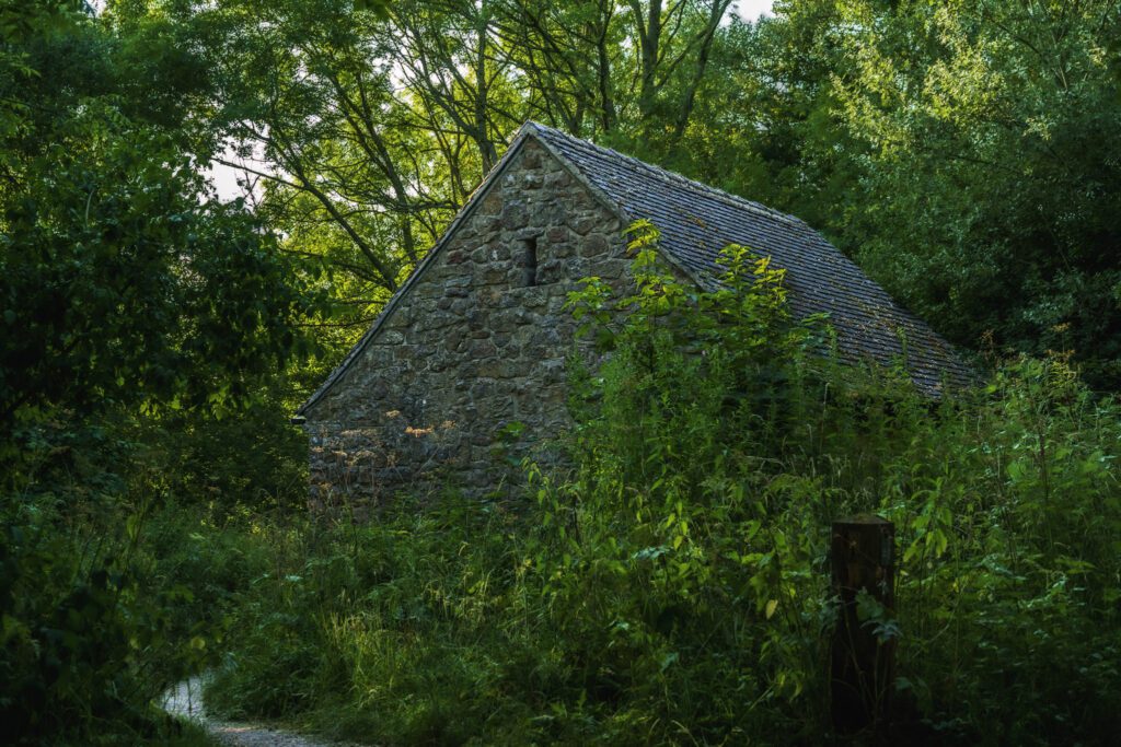 Stone barn hidden in the woodland